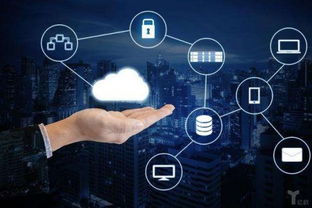 變現貓免費下載 引領網絡技術服務的新篇章